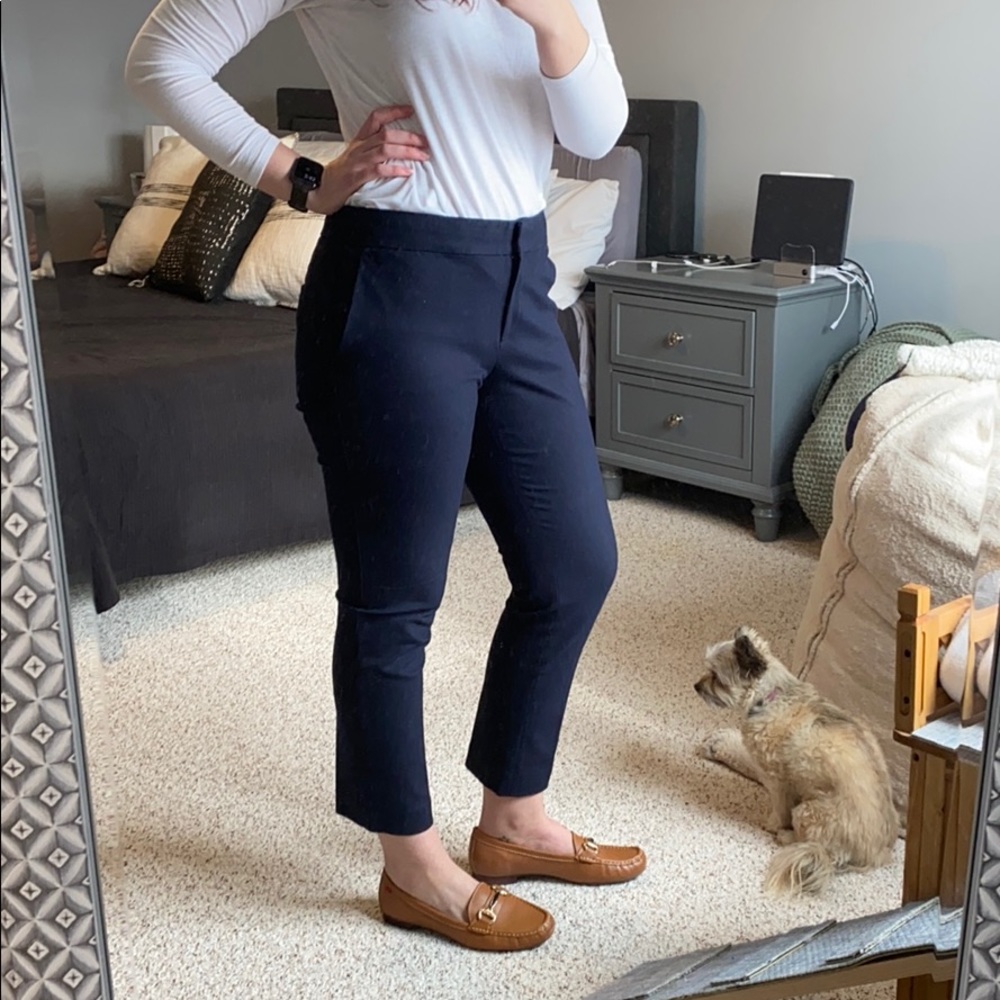 Navy Ann Taylor Devin Fit Dress Pants